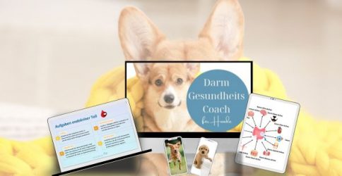 DarmgesundheitsCoachFürHunde_Thumbnail